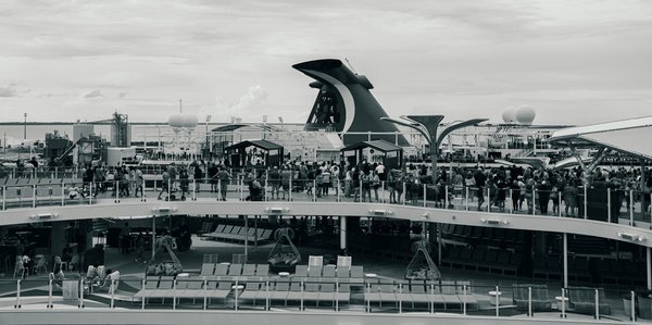 Explore UK Campsites with Guided Nature Tours: The Definitive Flora and Fauna Adventure Guide